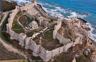 Mersin'in İncisi: Cüneyt Arkın'ın Filmine...