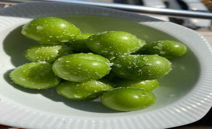 MUT GÖKSU’DA HASAT BAŞLADI