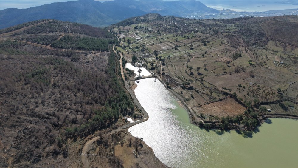 Sular Çekildiğinde Ortaya Çıkan Gerçek